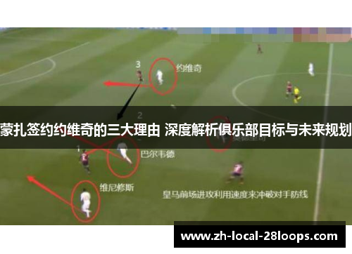 蒙扎签约约维奇的三大理由 深度解析俱乐部目标与未来规划