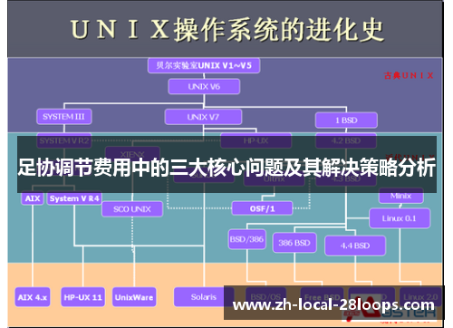 足协调节费用中的三大核心问题及其解决策略分析 足协调节费用中的三大核心问题及其解决策略分析